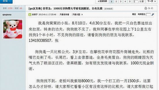 弄丢客人比熊犬要赔钱 打工妹出千元寻狗没结果